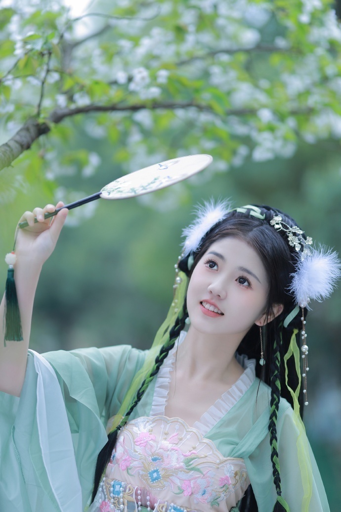 甄嬛传 封面