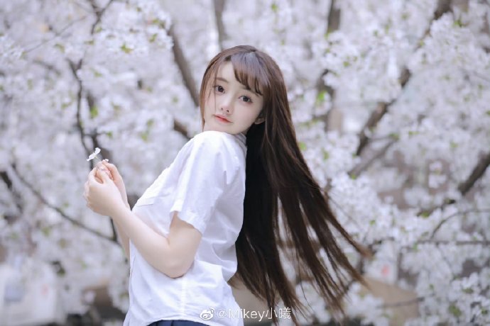 周生如故 封面